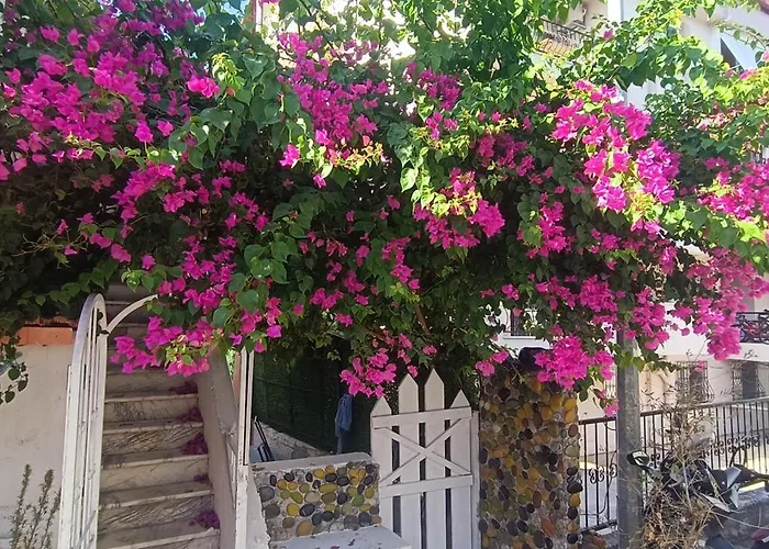 Happy Accomation 192mt To Harbour No6