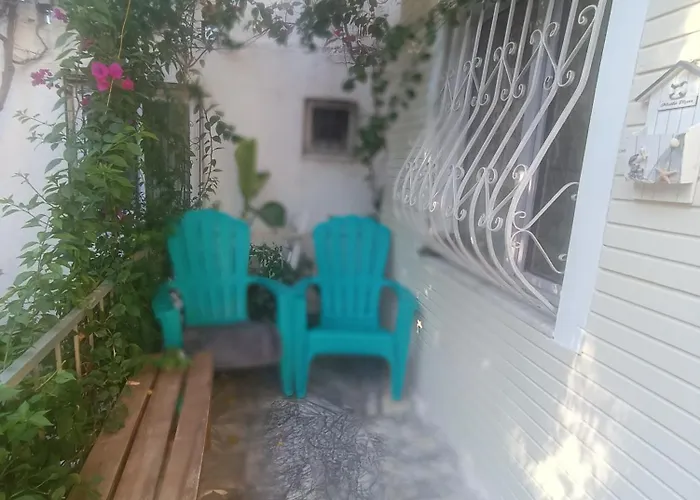 Happy Accomation 192mt To Harbour No6