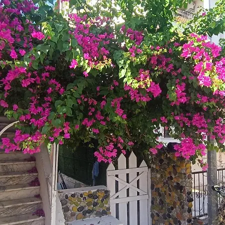 Happy Accomation 192mt To Harbour No6